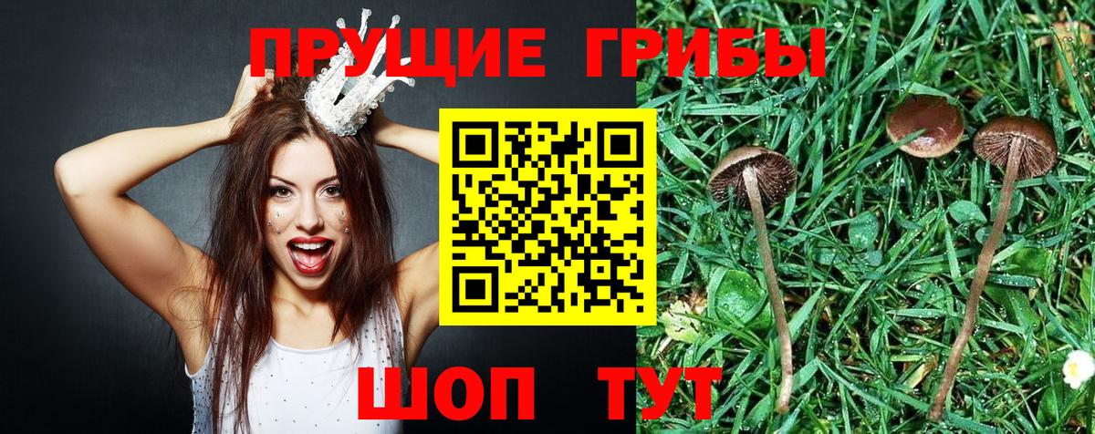 Галлюциногенные грибы GOLDEN TEACHER  наркотики  Псилоцибиновые грибы ЛСД  Ковров  Вход с VPN 