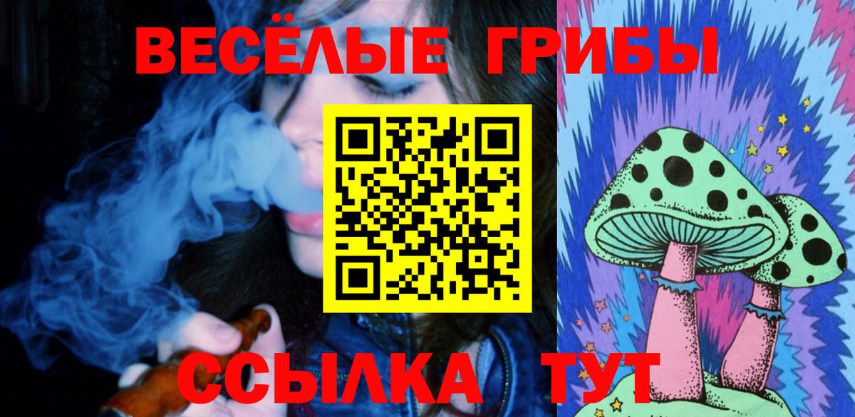 Галлюциногенные грибы Psilocybe Ковров